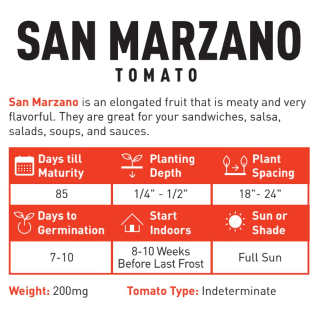 Gardeners Basics San Marzano in a container garden for small spaces.