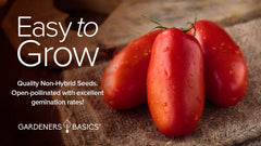 Gardeners Basics San Marzano seedling indoor start for an early harvest.