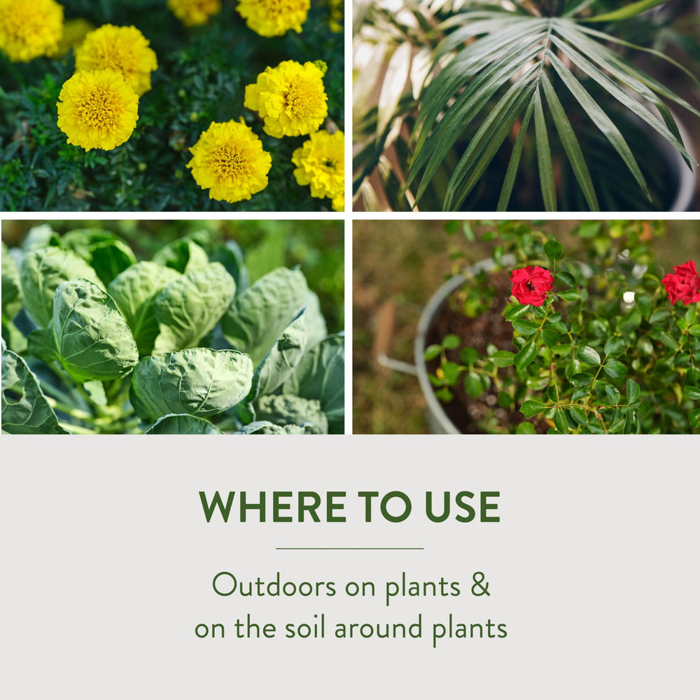 Garden Safe targets ants, cockroaches, fleas and beetles on contact.