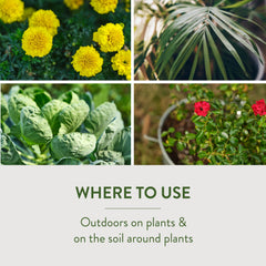 Garden Safe targets ants, cockroaches, fleas and beetles on contact.