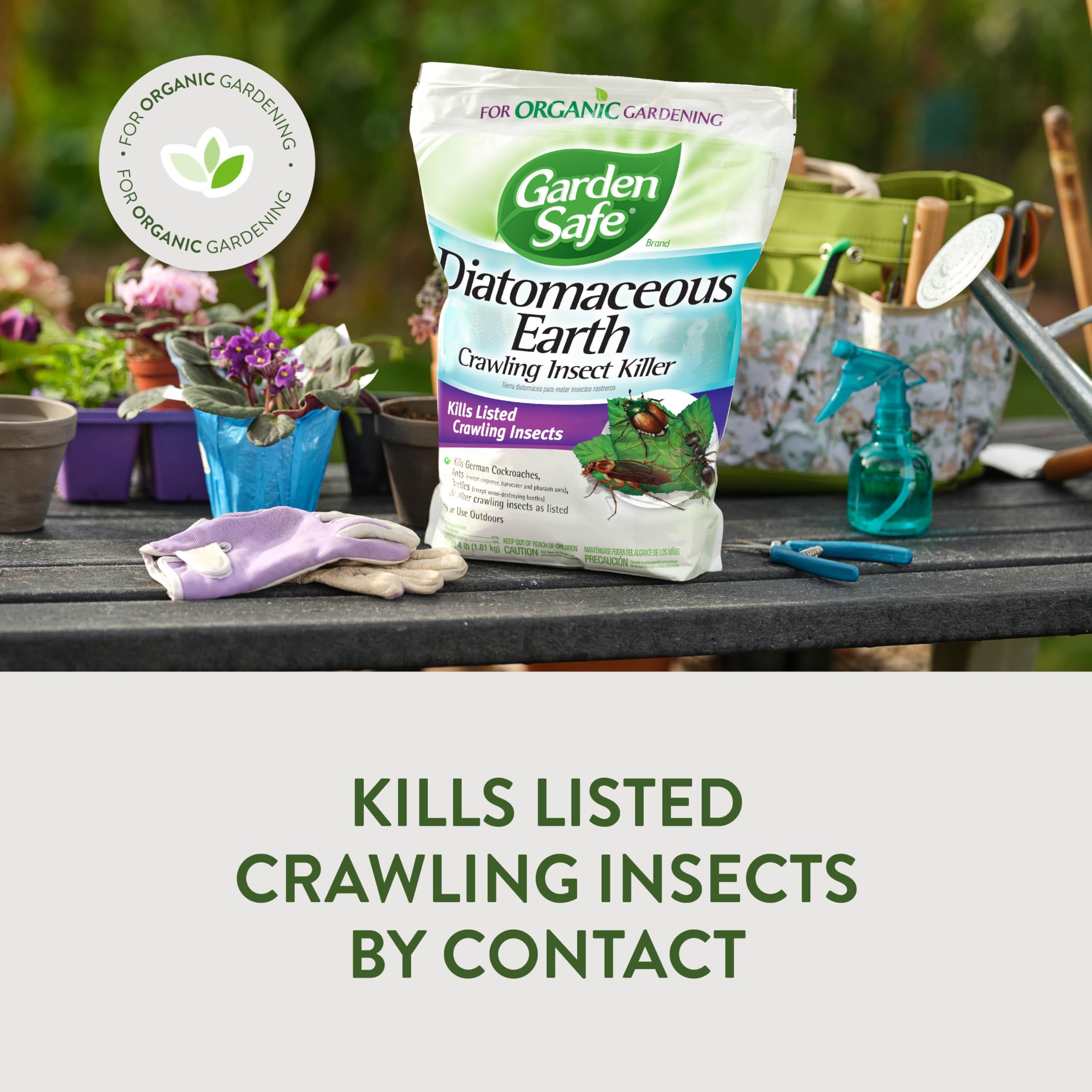 Garden Safe dusting granules on outdoor plants for crawling insects.