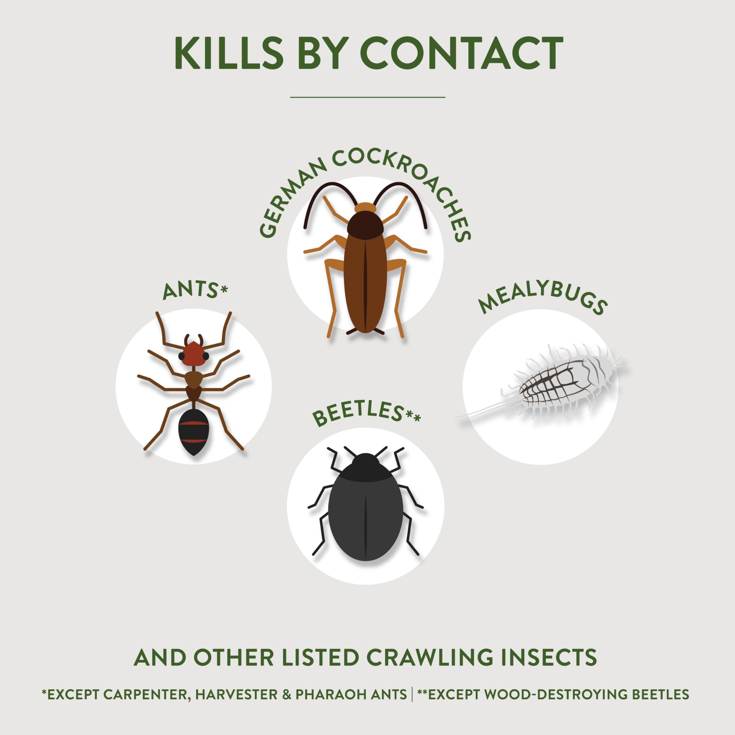 Garden Safe diatomaceous earth kills by contact on pests.