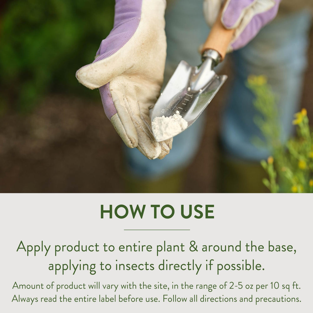 Garden Safe grey dust coats insect exoskeletons for dehydration.
