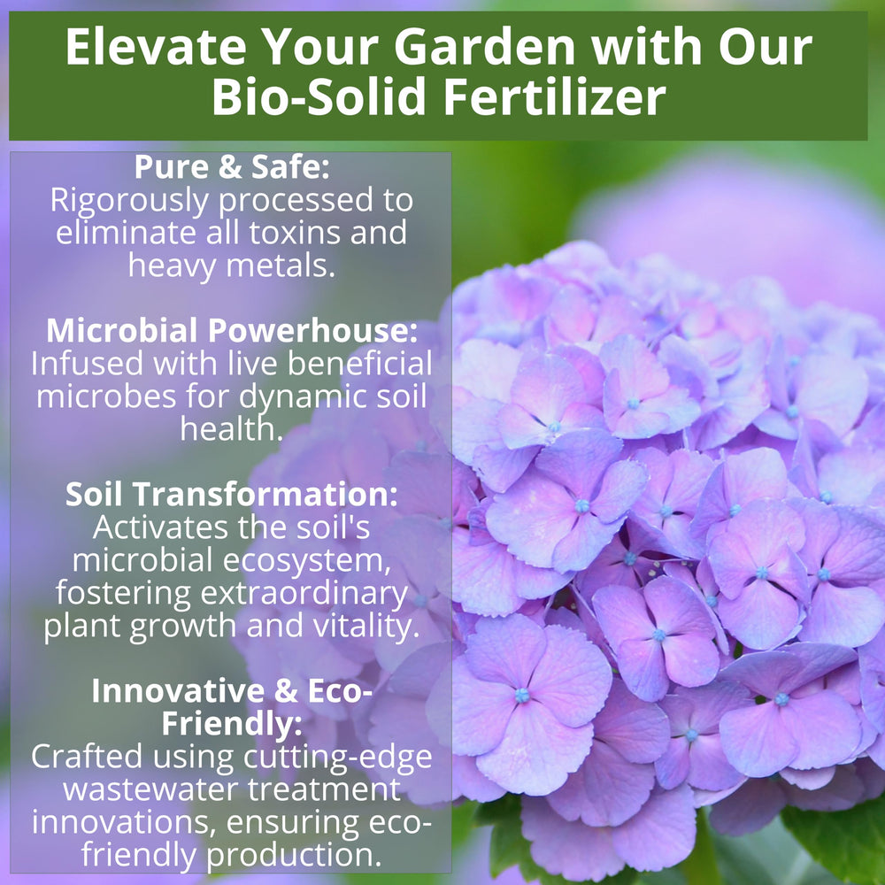GardenWise 8-4-8 blueberry plants enabling improved berry production.