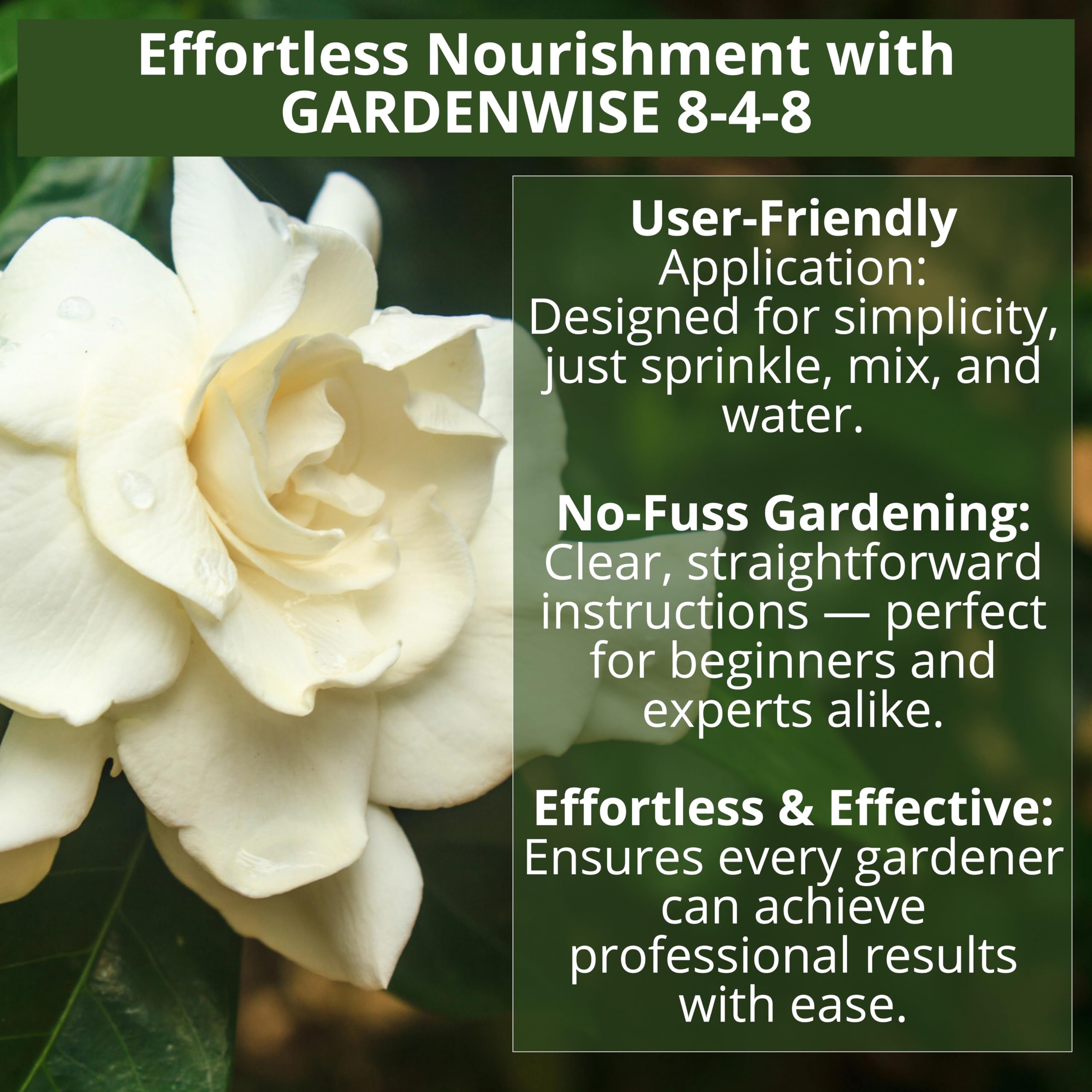 GardenWise 8-4-8 gardenia care with soil acidification for richer fragrance.