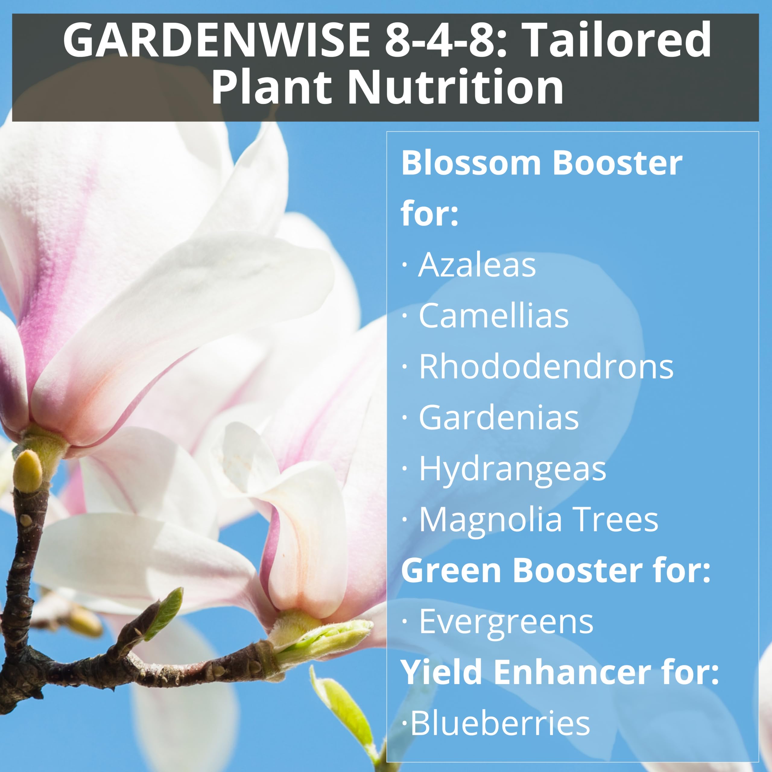 GardenWise 8-4-8 hydrangea bloom enhancement for rich color.