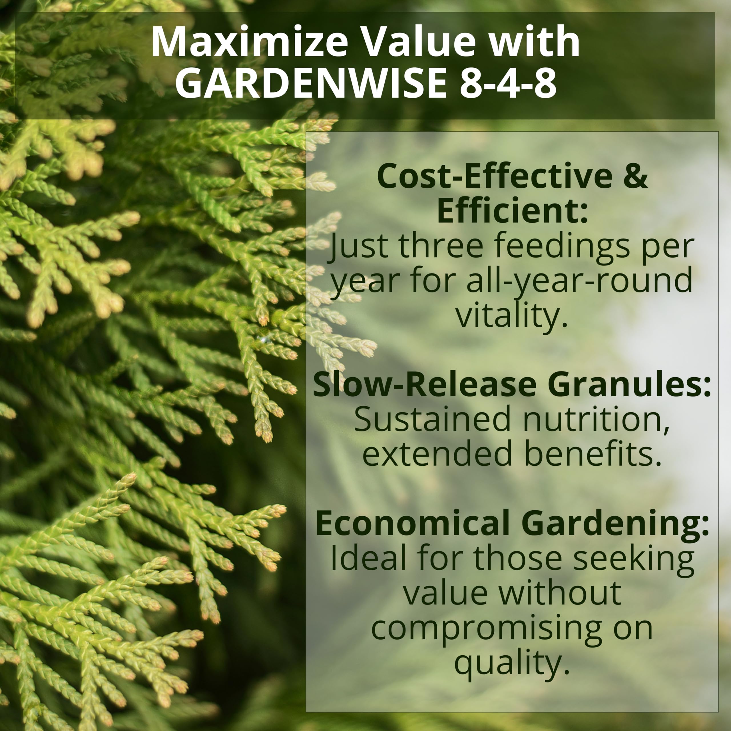 GardenWise 8-4-8 magnolia tree growth with essential micronutrients.
