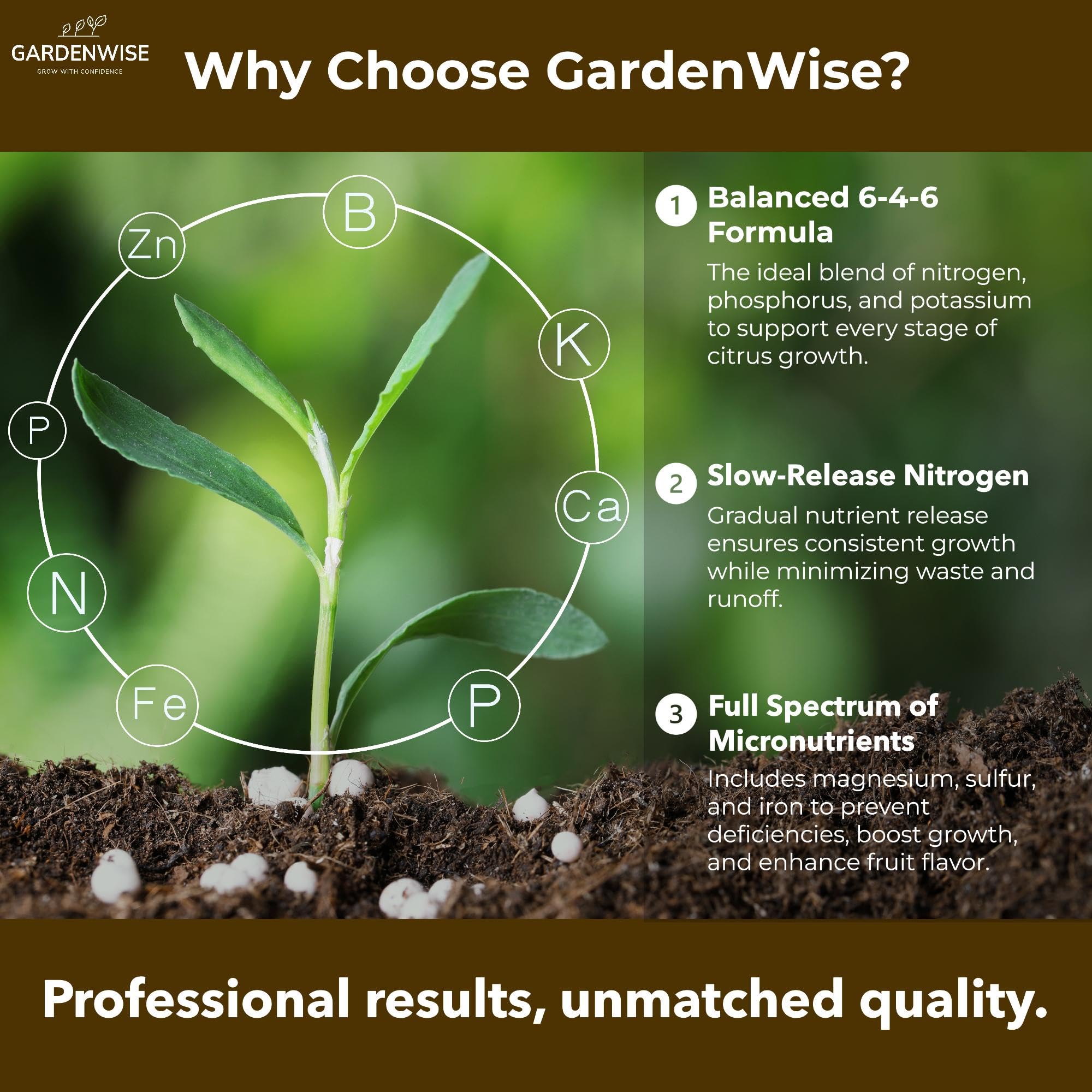GardenWise Citrus Fertilizer applied around trunks for even uptake and vigor