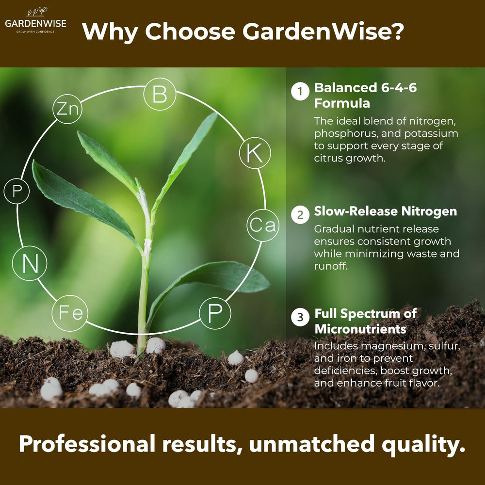 GardenWise Citrus Fertilizer applied around trunks for even uptake and vigor