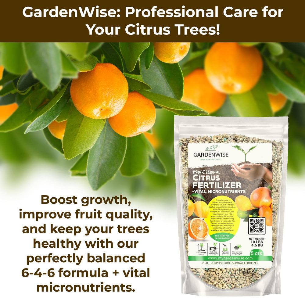GardenWise Citrus Fertilizer granules provide slow release nourishment between waterings