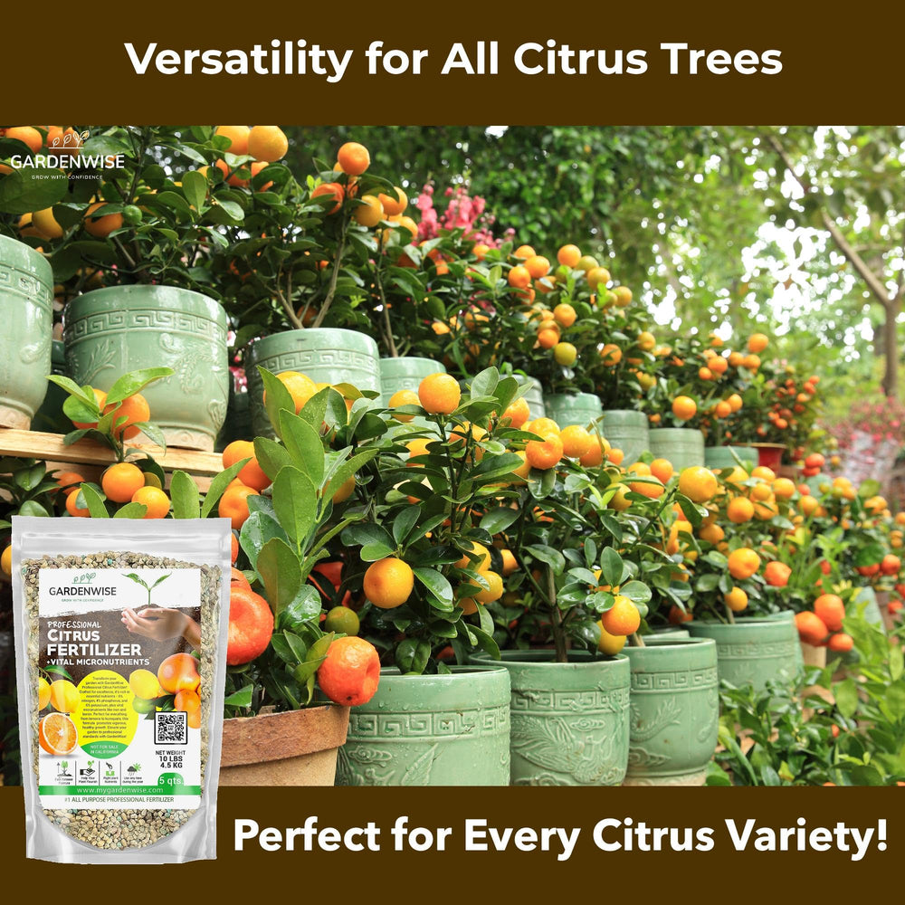 GardenWise Citrus Fertilizer micronutrient label closeup highlights minerals