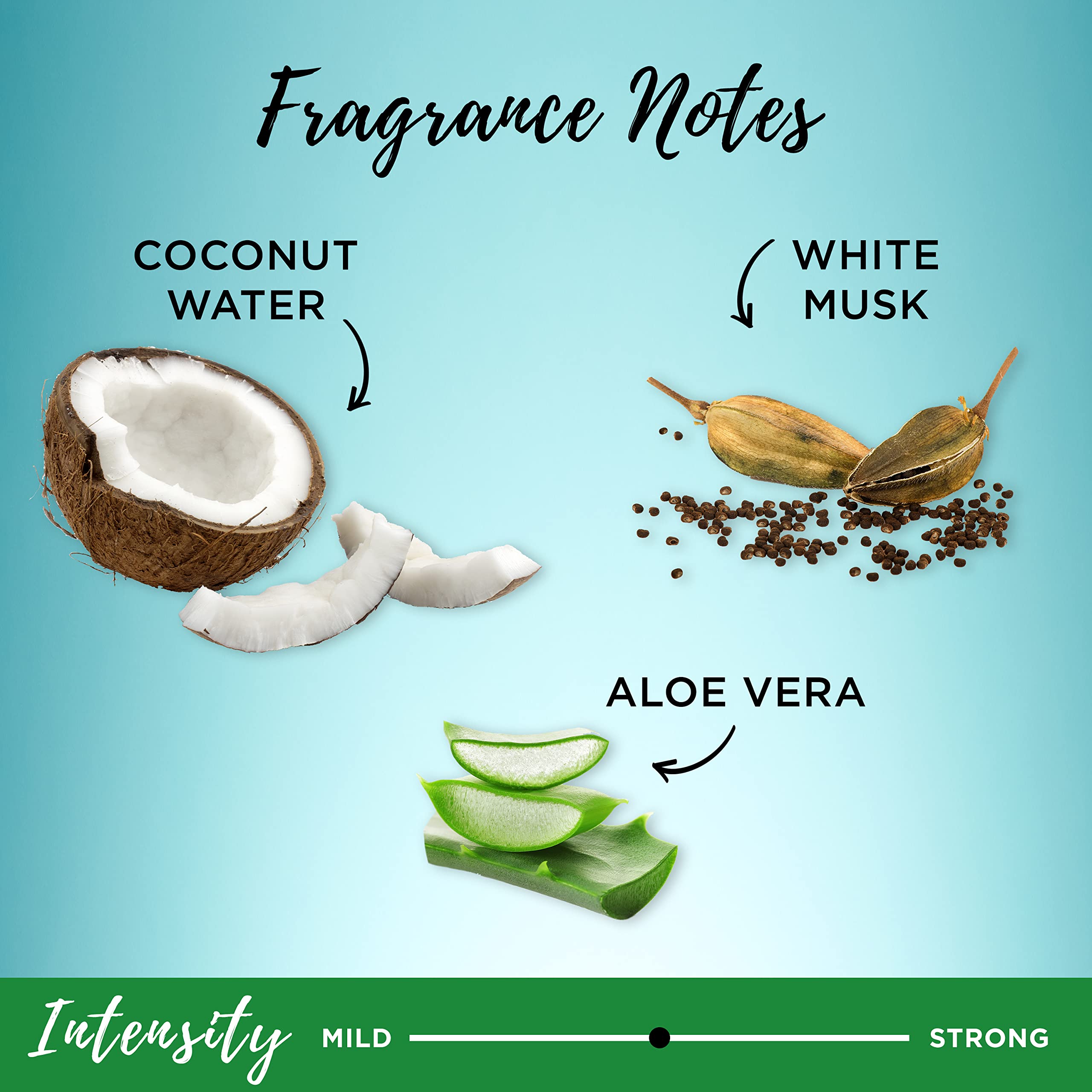 Aloe vera leaf highlight in Garnier Whole Blends formula supporting gentle cleansing