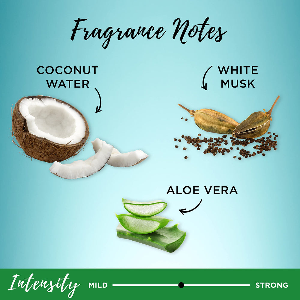 Aloe vera leaf highlight in Garnier Whole Blends formula supporting gentle cleansing