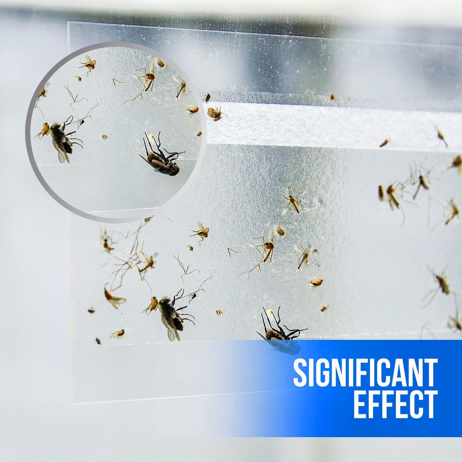 Garsum non-toxic traps are safe around kids and pets while keeping windows clear.