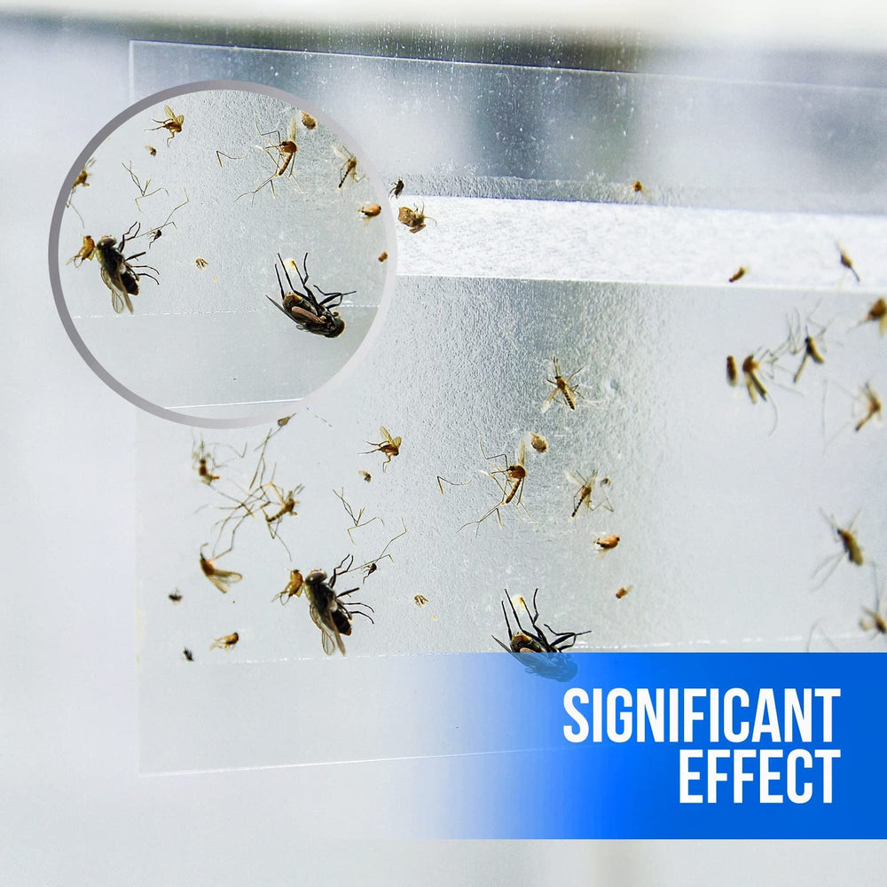 Garsum non-toxic traps are safe around kids and pets while keeping windows clear.