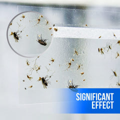 Garsum non-toxic traps are safe around kids and pets while keeping windows clear.