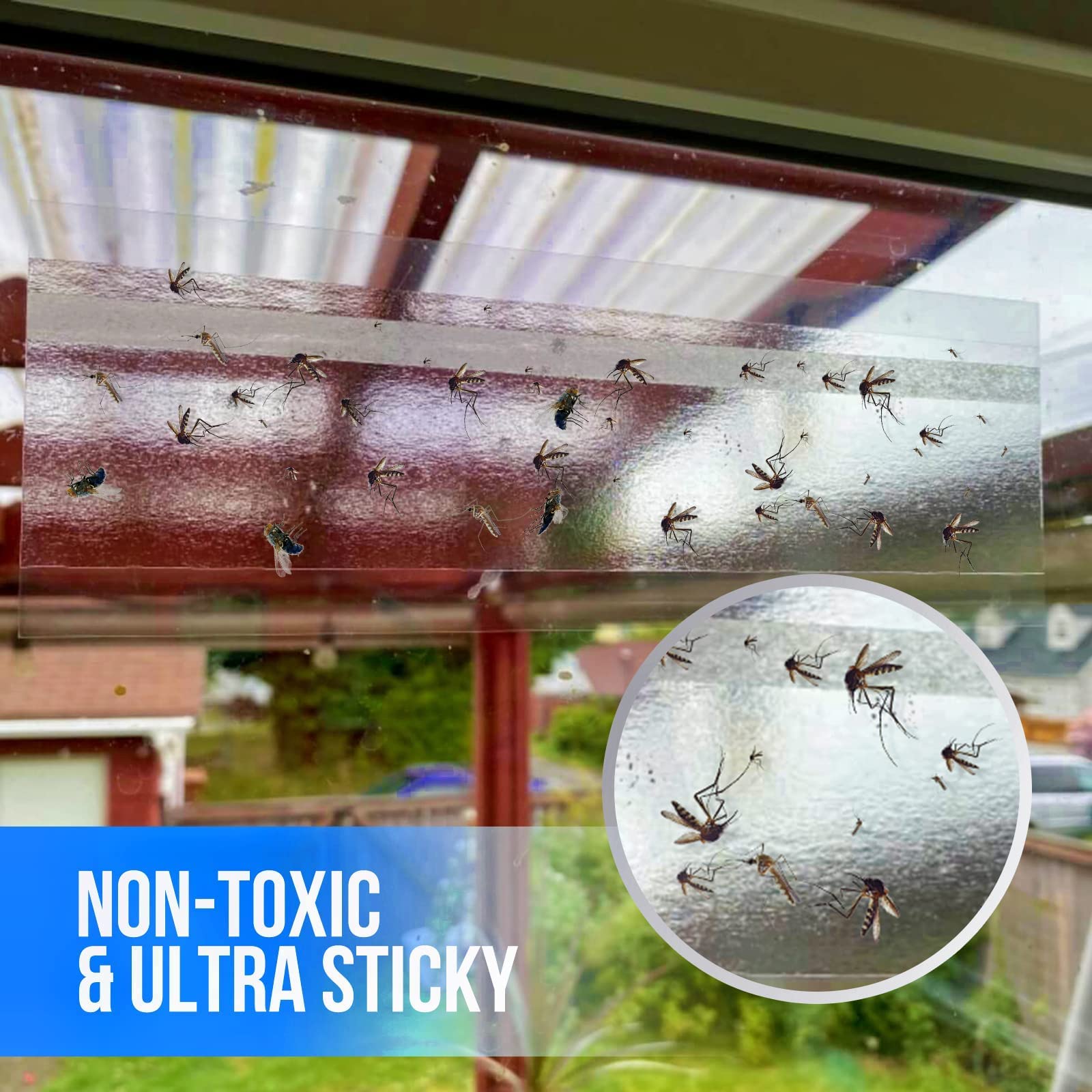 Garsum window traps with transparent design preserve light while catching nuisance insects.