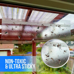 Garsum window traps with transparent design preserve light while catching nuisance insects.