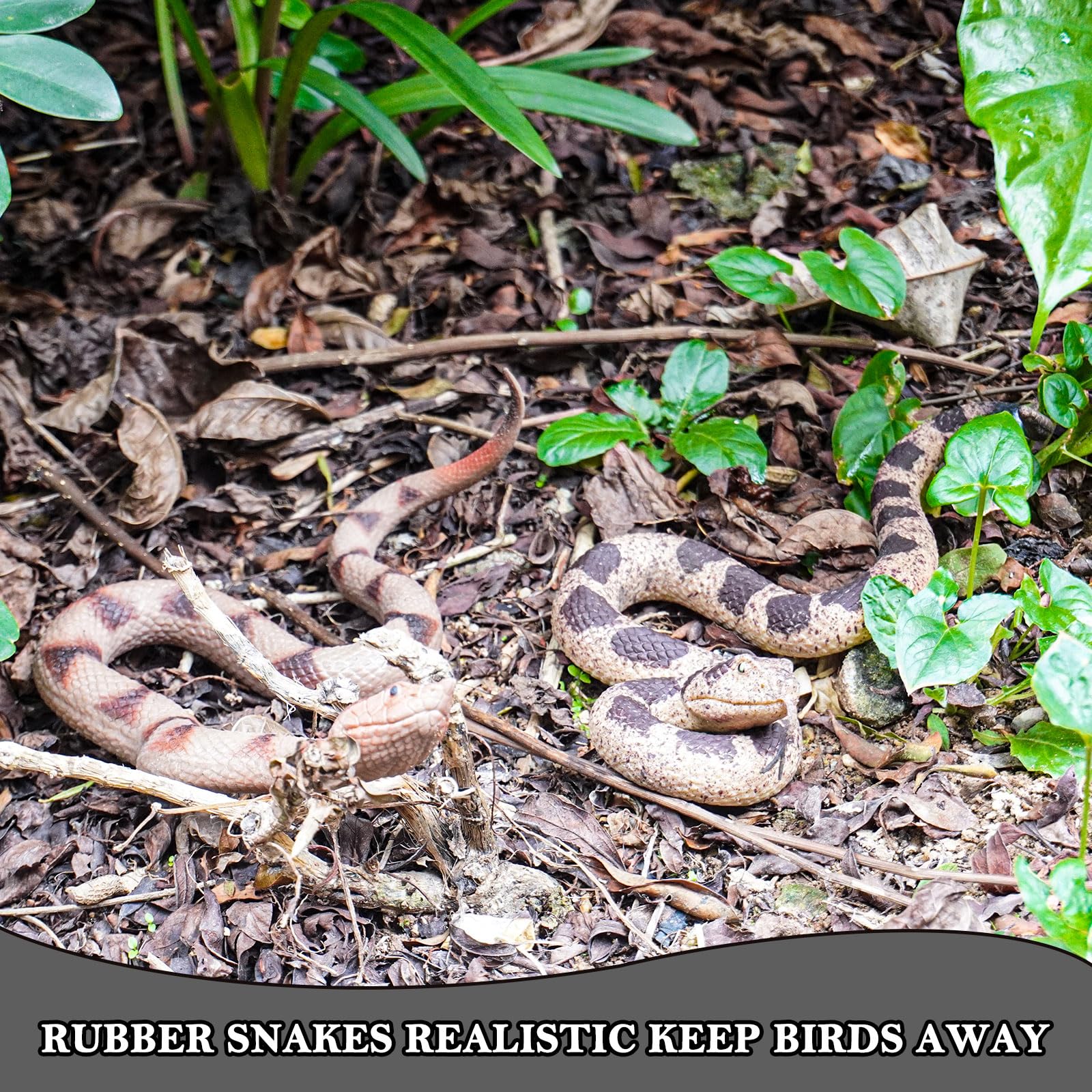 Gelabur rubber snake shows realistic texture for Halloween setups.