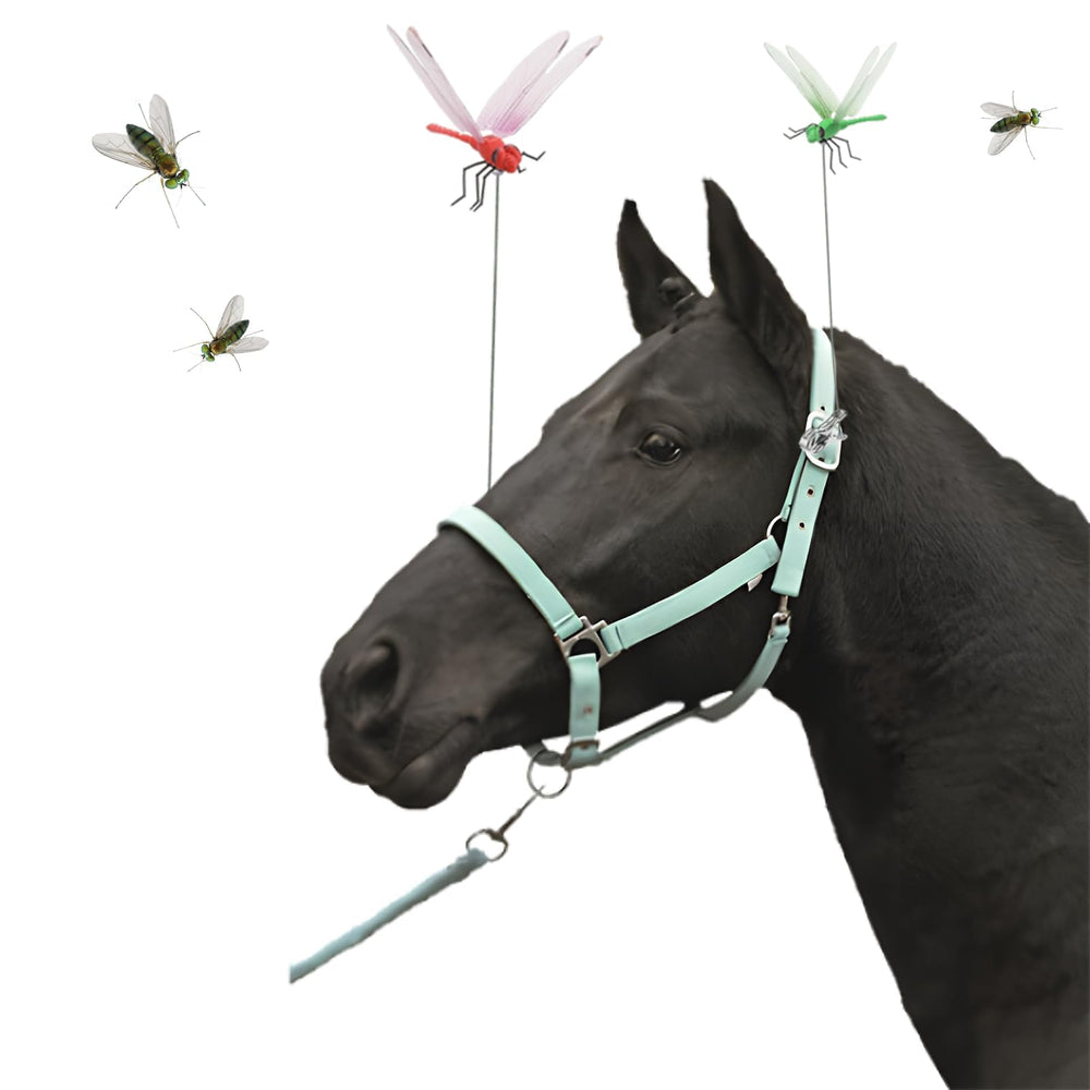 Generic Dragonfly Clip packaging shows blue, red, and green varieties.
