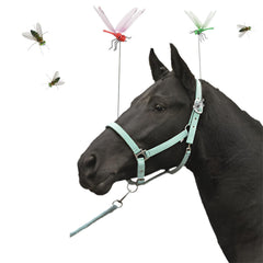 Generic Dragonfly Clip packaging shows blue, red, and green varieties.