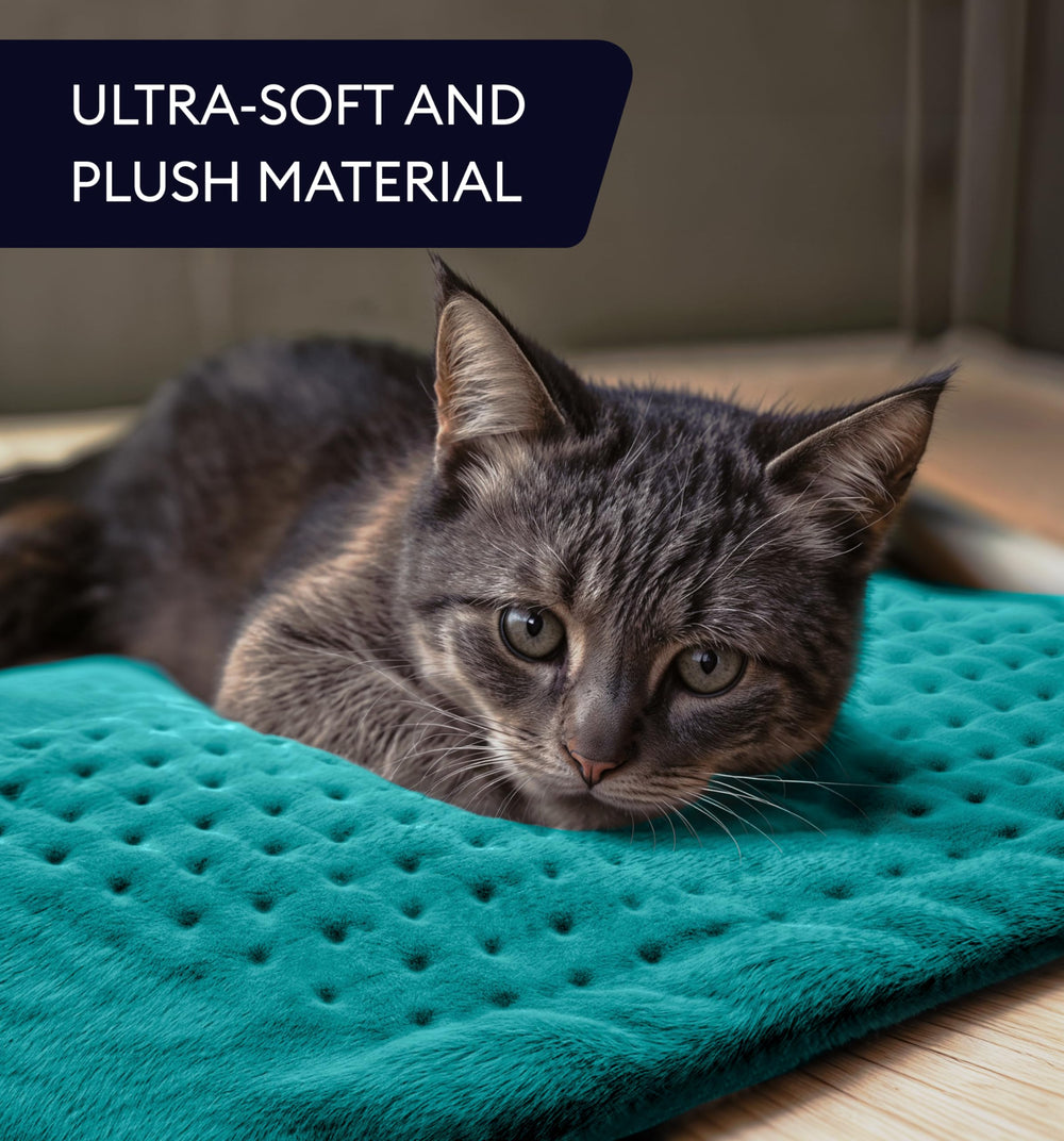 GENIANI gift-ready heating pad displayed as a thoughtful present