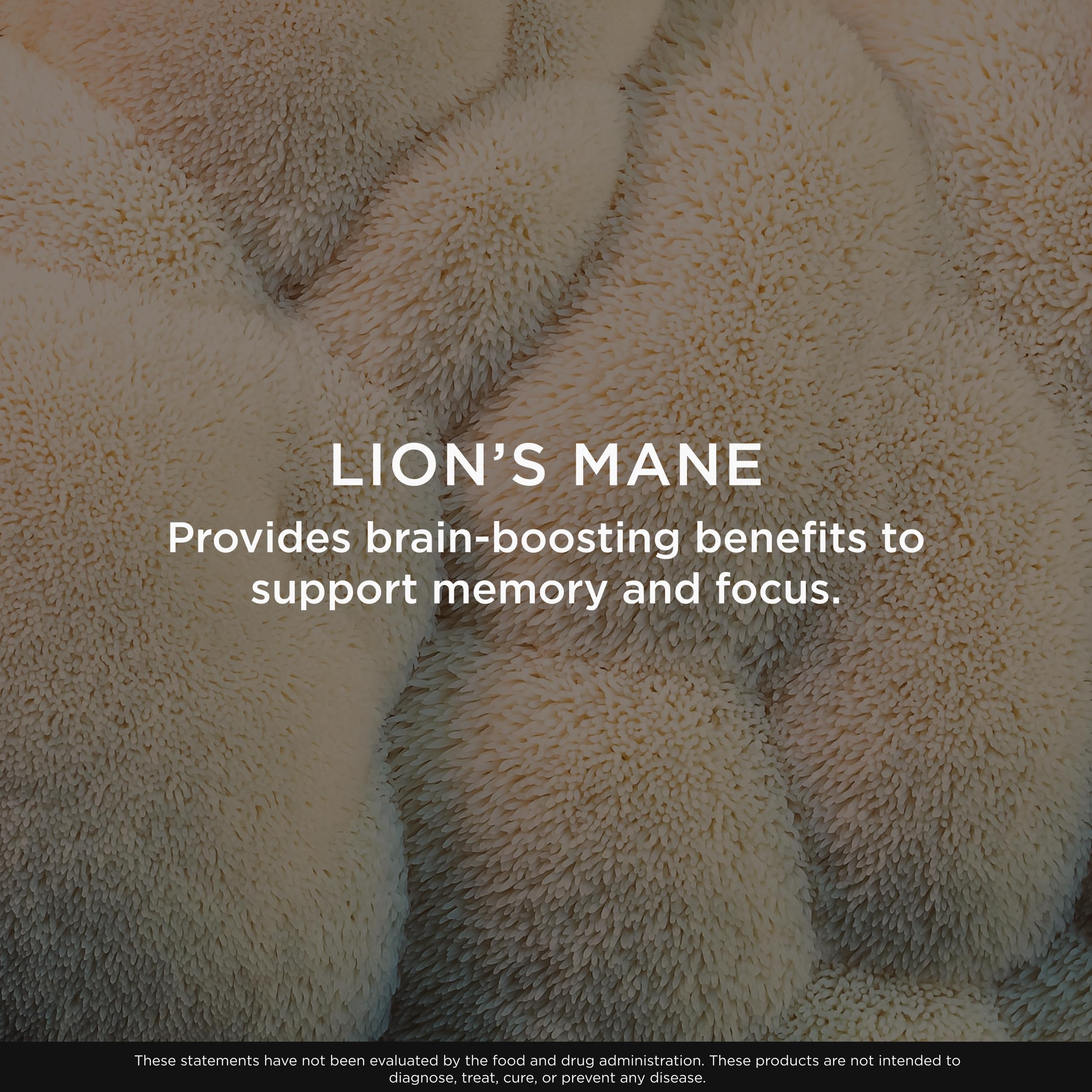 Genius Lion's Mane serving daily-use scene for steady energy and focus.