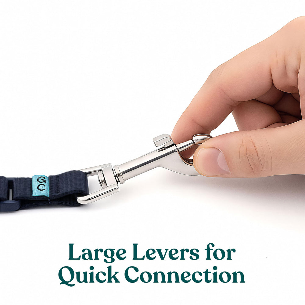 Gentle Creatures Collar Companion easy harness-to-collar attachment for safer walks.
