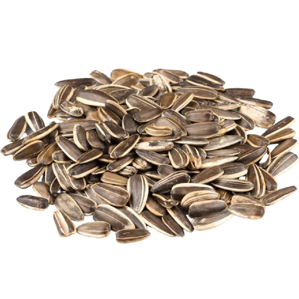 Gerbs jumbo sunflower seeds in shell, front view for easy snacking.