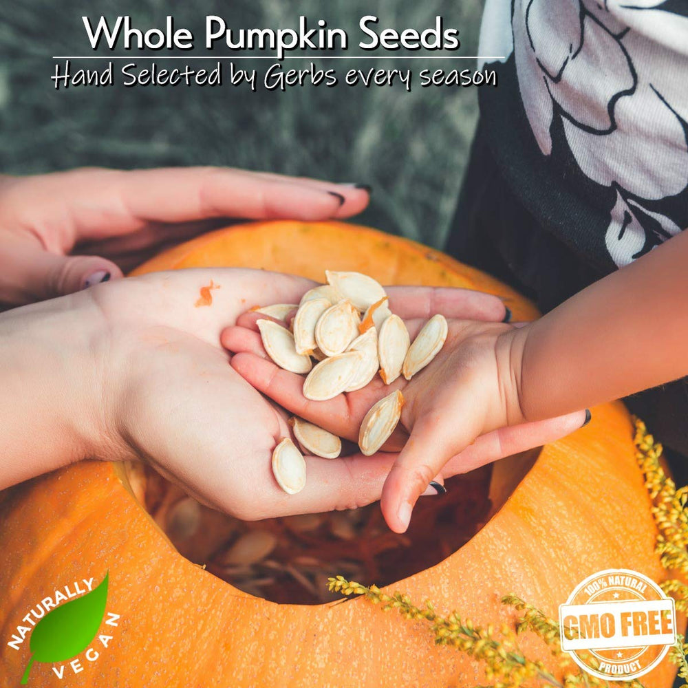 GERBS Top-14 allergen-free seeds designed for diverse dietary needs and mindful snacking.