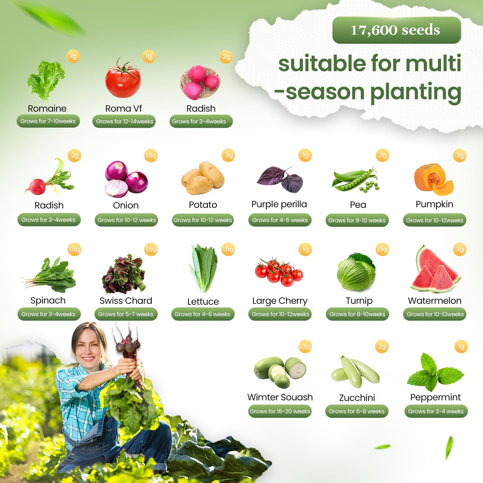 GermiGrow family gardening kit with easy planting guides for beginners and kids.