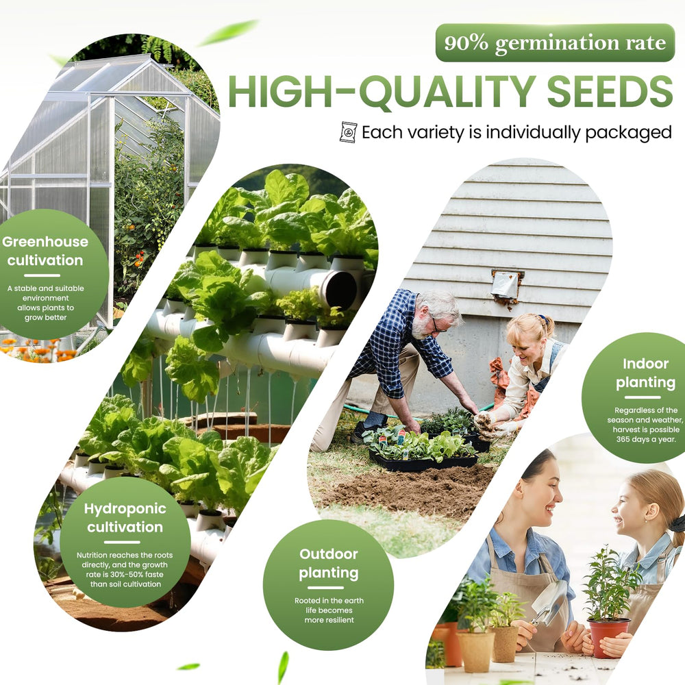 GermiGrow seed-to-table journey featuring healthy, home-grown ingredients.