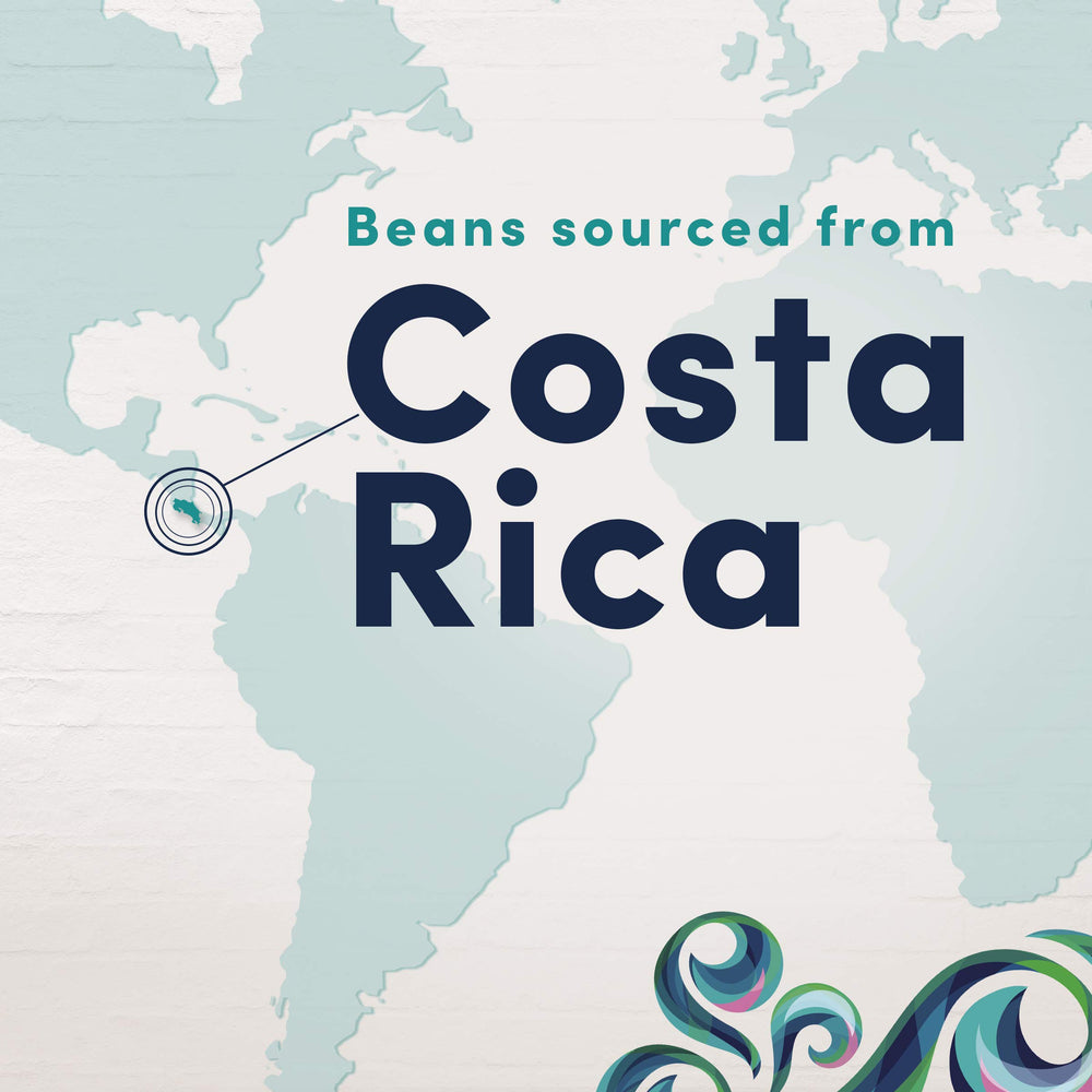 Gevalia Rainforest Alliance certification supports sustainable sourcing