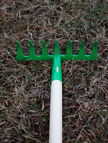JustForKids rake with wood handle and steel head for tidy yard cleanup