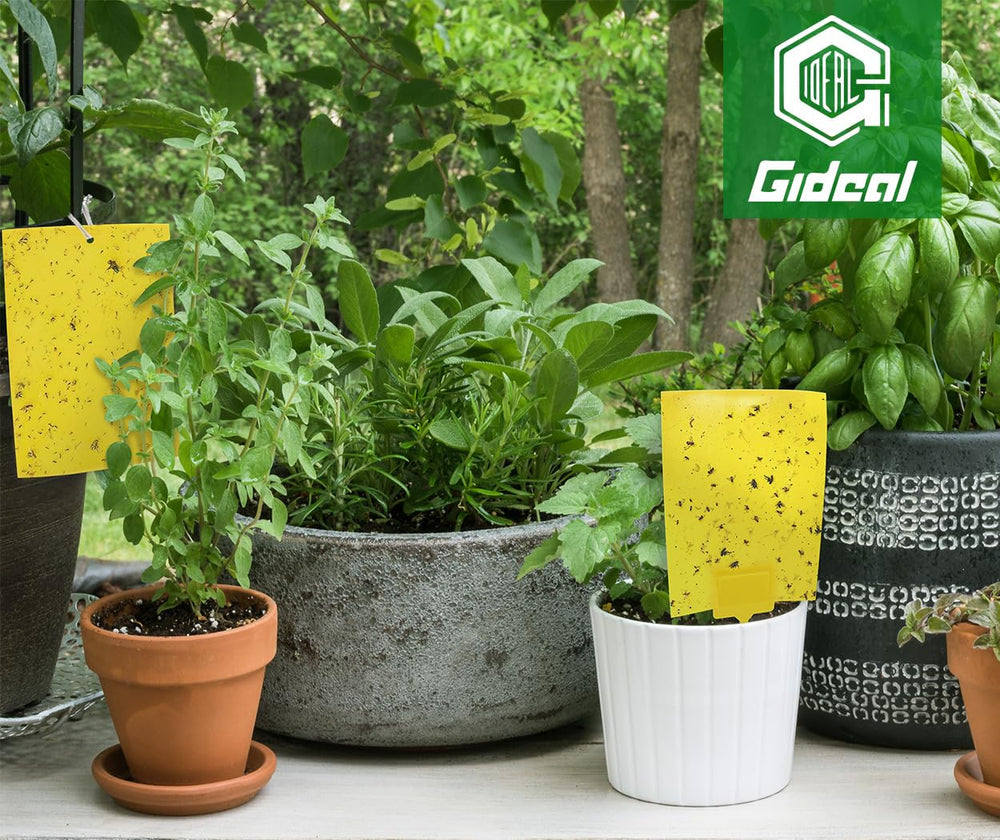 Gideal traps are waterproof and durable through temperature changes.