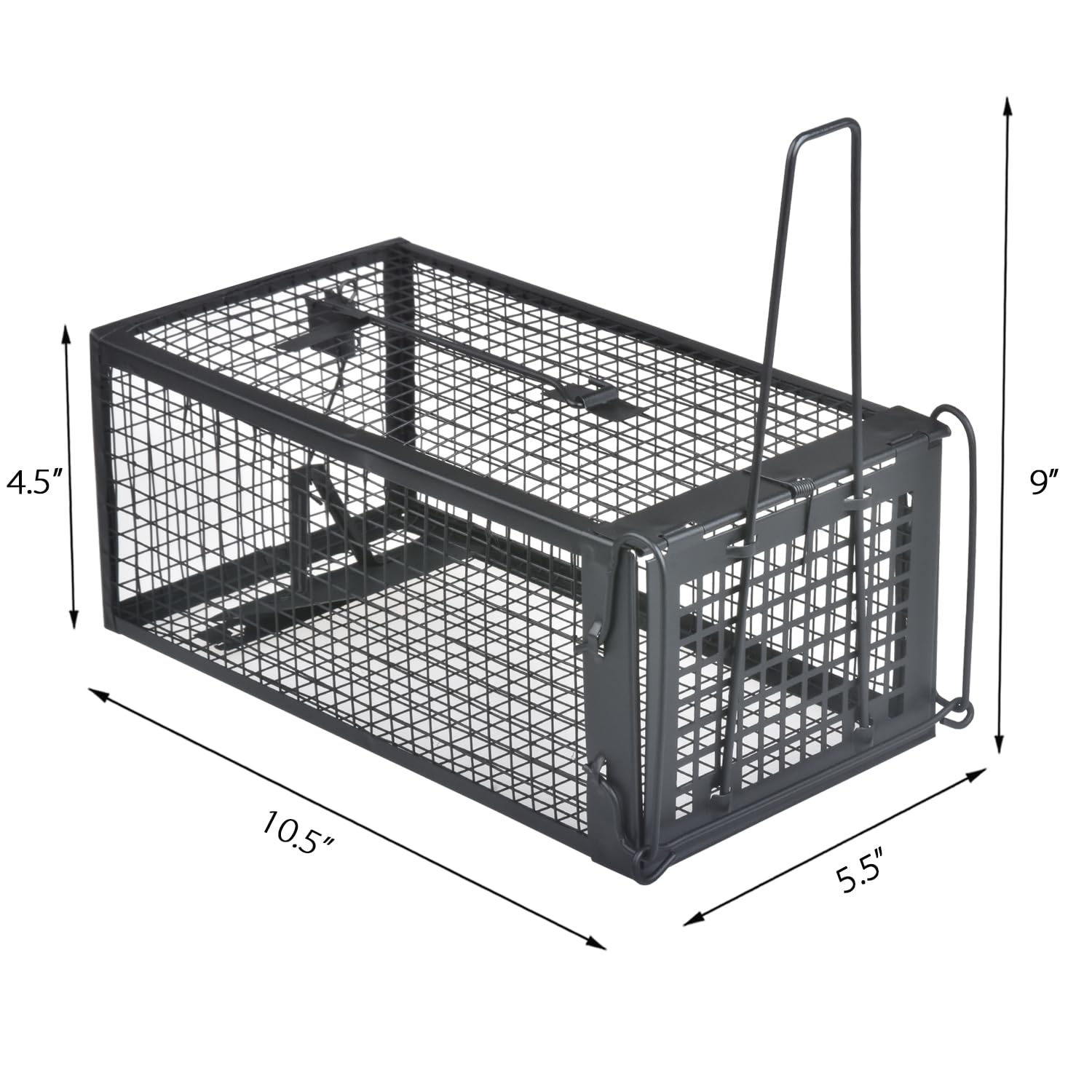 Gingbau Live Cage Trap being assembled for simple setup