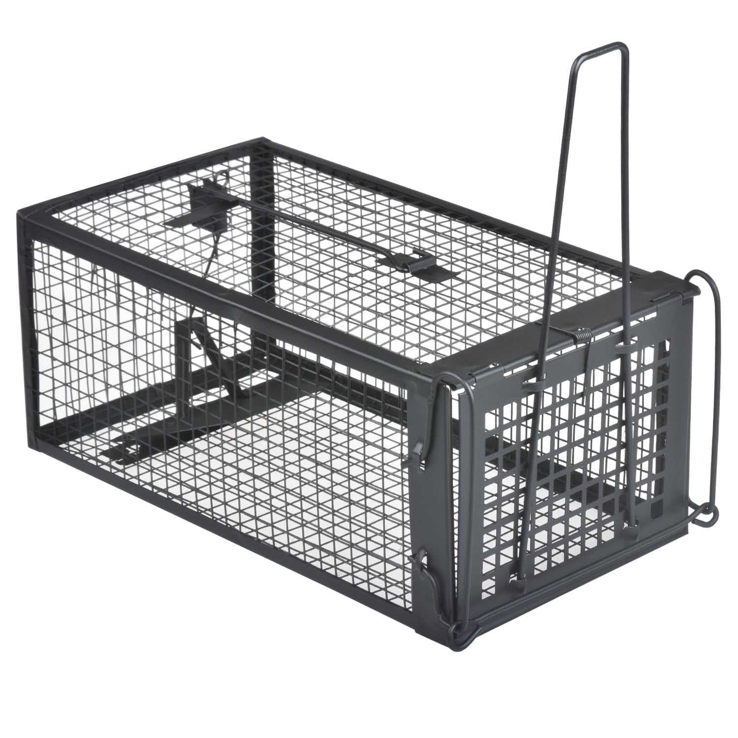 Gingbau Live Chipmunk Trap, front view, ready for humane release