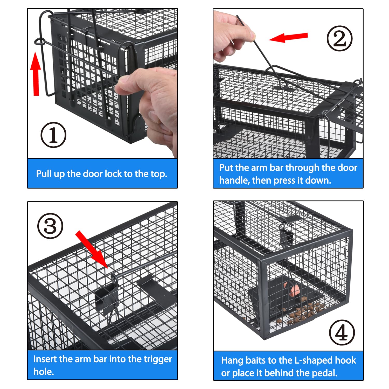 Gingbau Live Rat Trap in use, auto door lock prevents escape