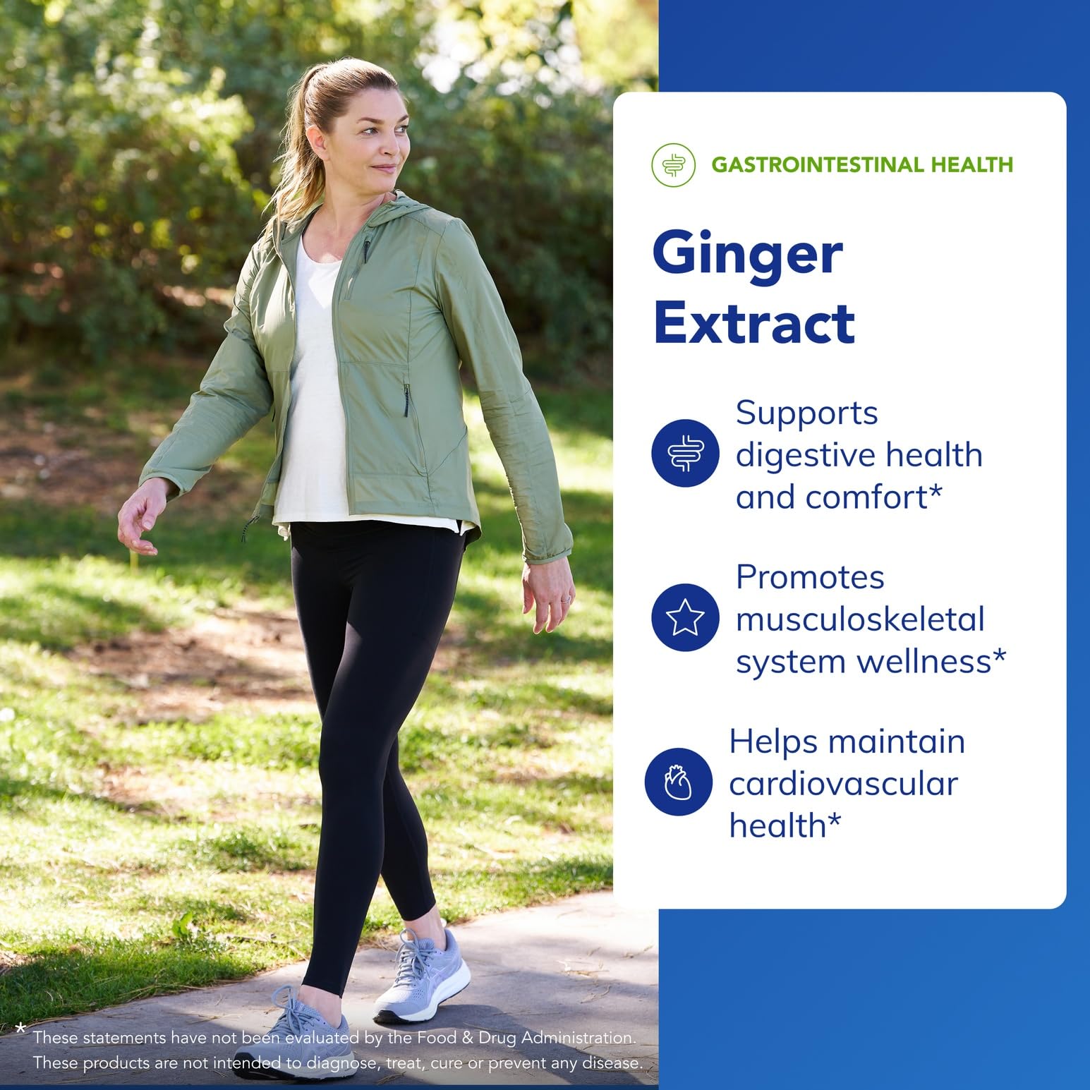 Ginger Extract fresh ginger root visual emphasizing natural origin.