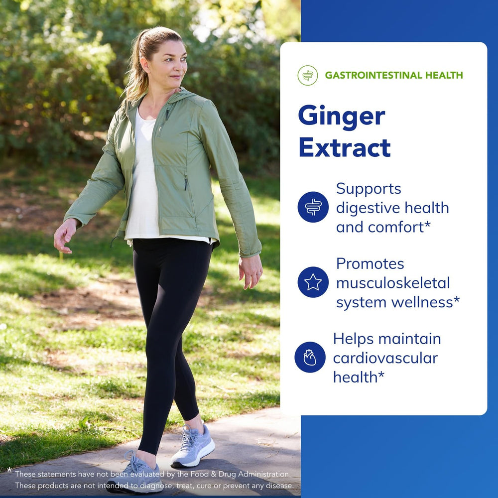 Ginger Extract fresh ginger root visual emphasizing natural origin.