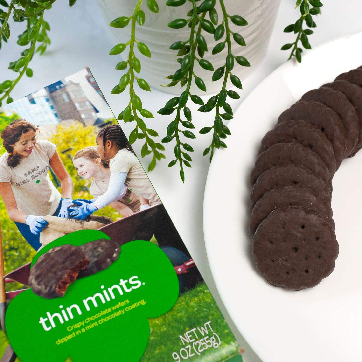 Girl Scouts Thin Mints party platter idea to entertain friends.