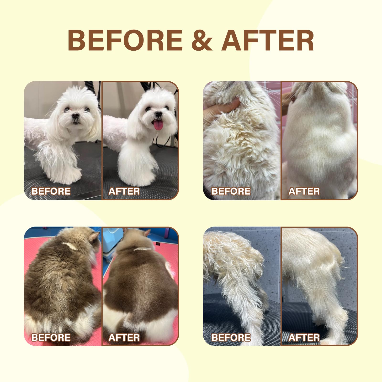 GJYC PET Fur Care Oil applied on dog coat for smoother fur.