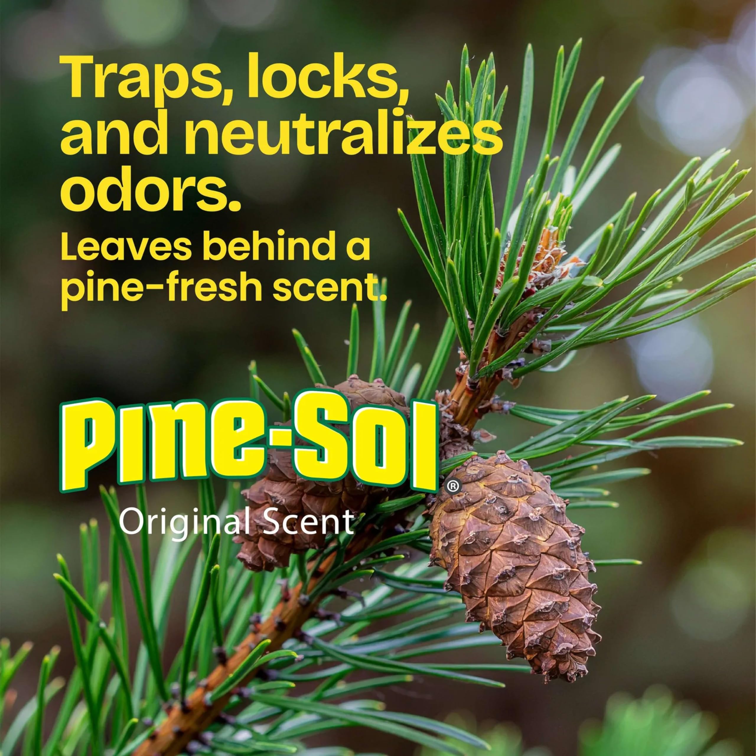 Glad Pine-Sol Original Scent release visible in packaging for fresh ambiance.