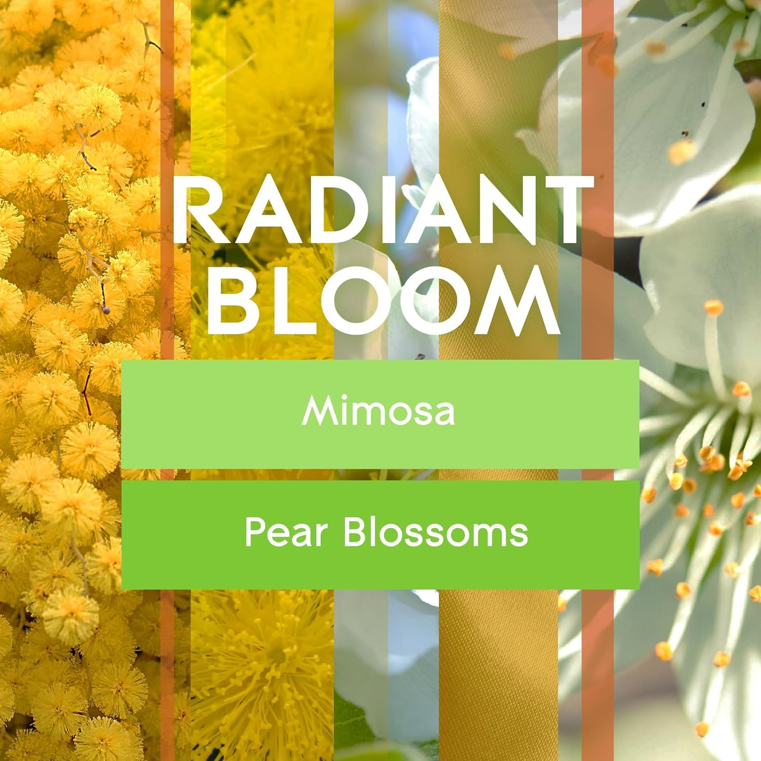 Bathroom setup featuring Radiant Bloom for a fresh, clean ambiance