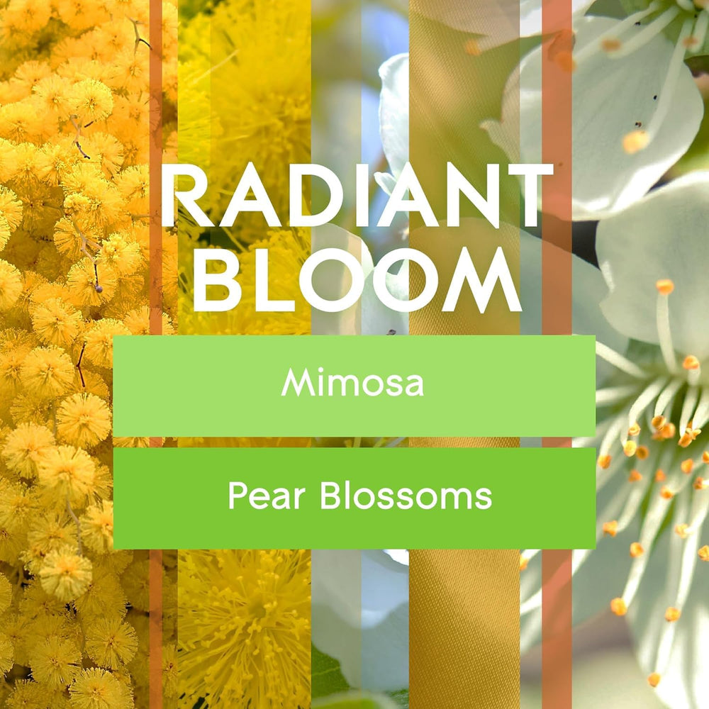 Bathroom setup featuring Radiant Bloom for a fresh, clean ambiance