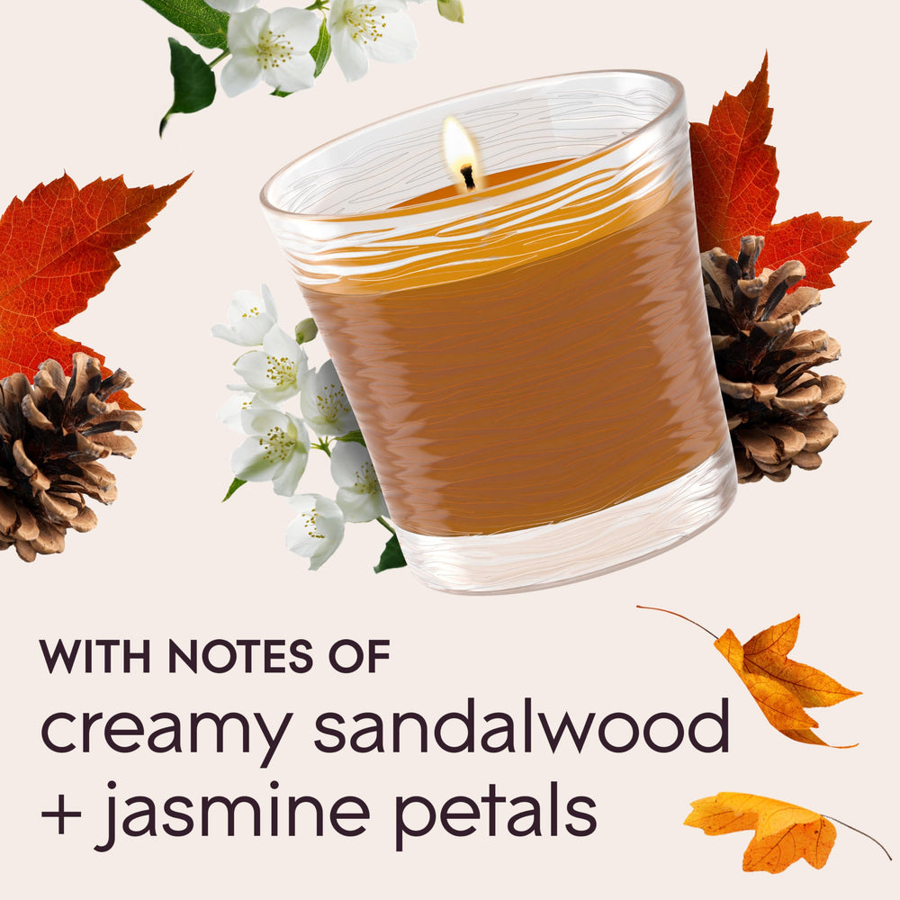 Glade Cashmere Woods candle jar ambience ideal for living room