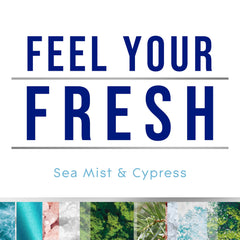 Glade PlugIns Sea Mist & Cypress pack shown for bathroom freshness.