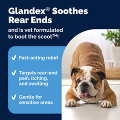 Happy dog during wipe application for gentle relief of itching and irritation.