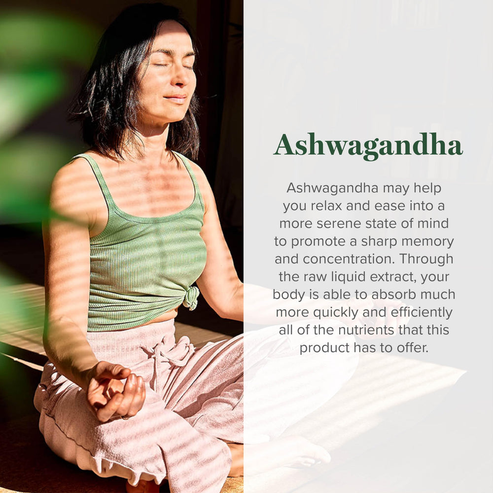Global Healing Center Ashwagandha Drops dropper enabling precise dosing.