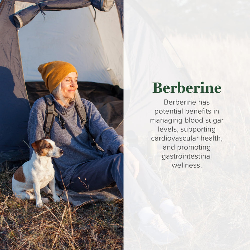 Close-up of Global Healing Center berberine capsules showing potency